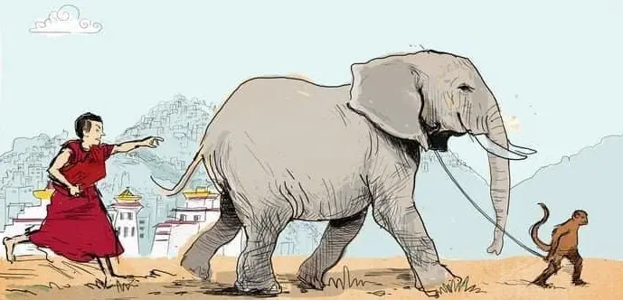 elephant sauvage